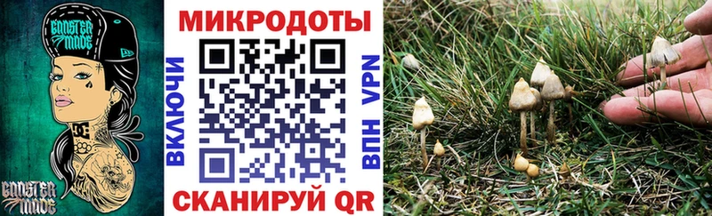 Псилоцибиновые грибы мухоморы  Новокузнецк 