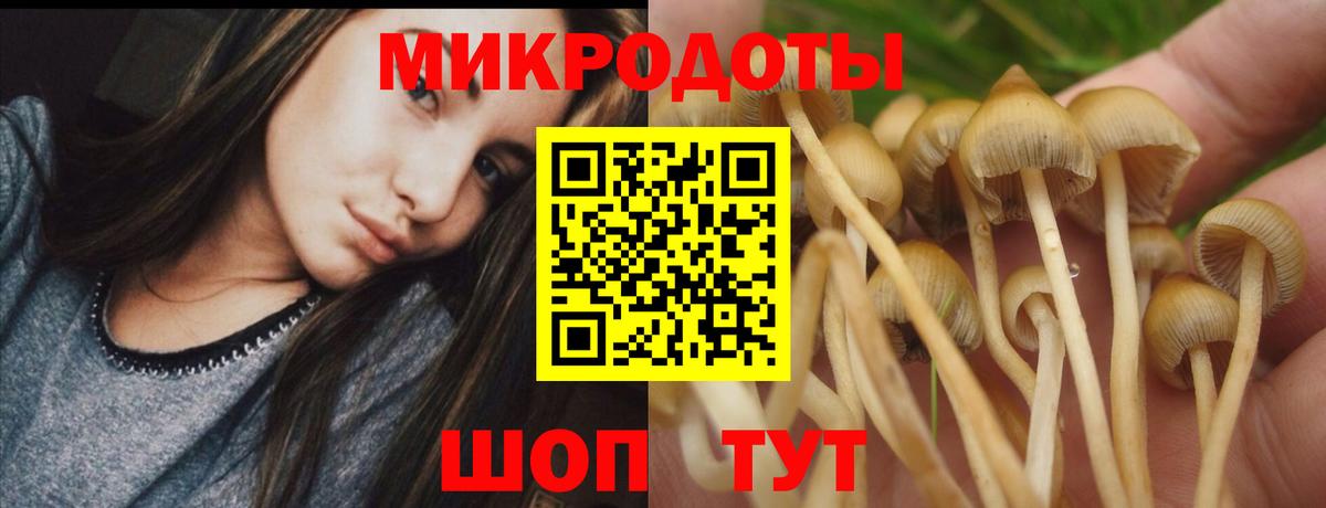 Галлюциногенные грибы GOLDEN TEACHER  Псилоцибиновые грибы Psilocybe  Вход с VPN  магазин  наркотиков  Новокузнецк 